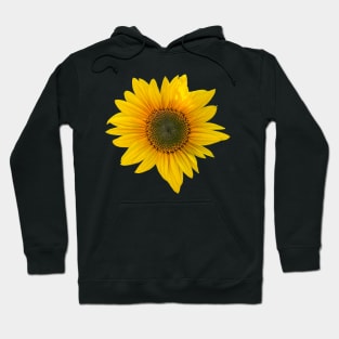 Sunflower Hoodie